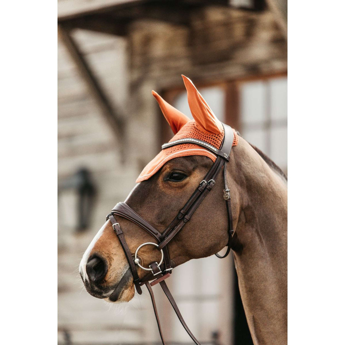 Kentucky Horsewear Bonete para Orejas Wellington Velvet Naranja