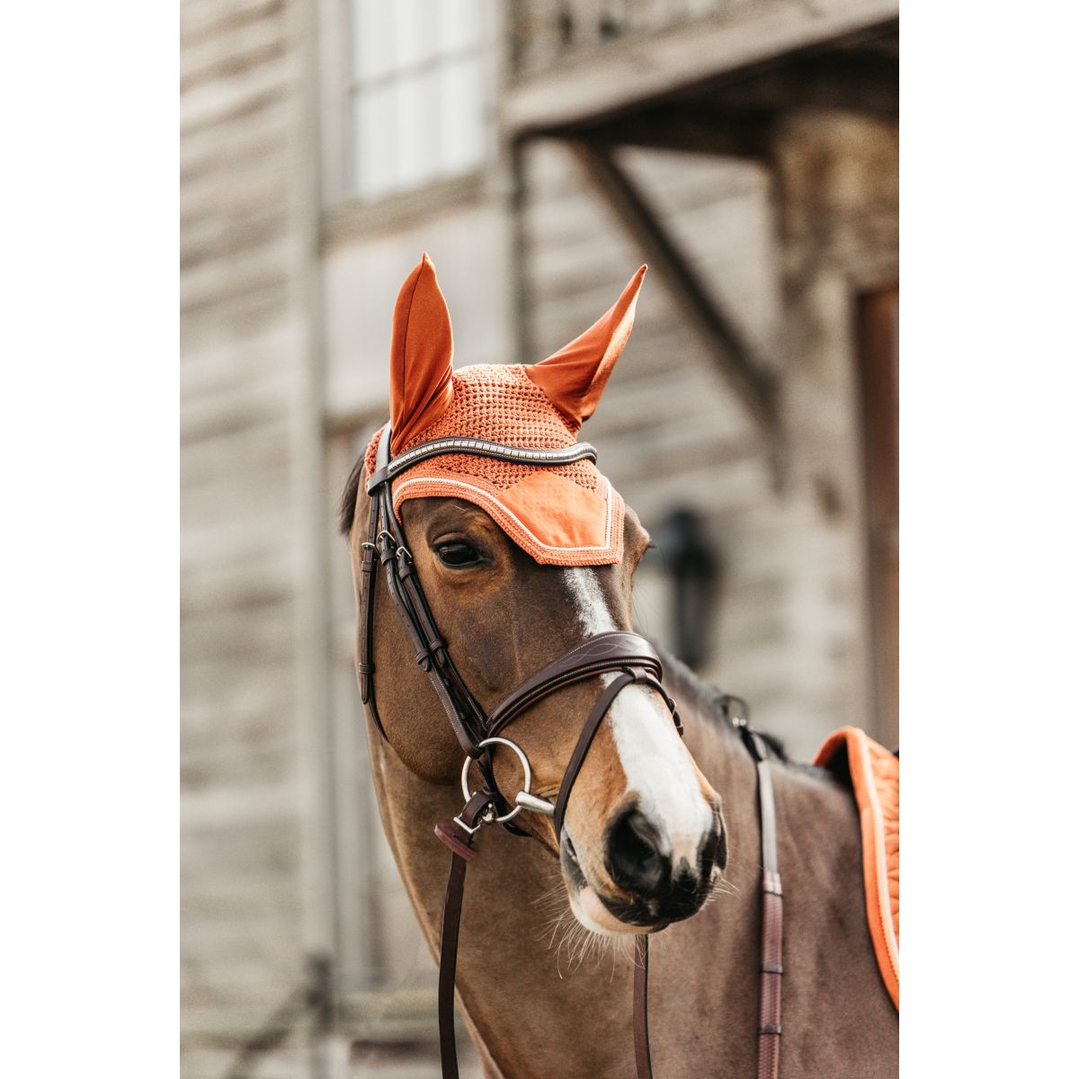 Kentucky Horsewear Bonete para Orejas Wellington Velvet Naranja