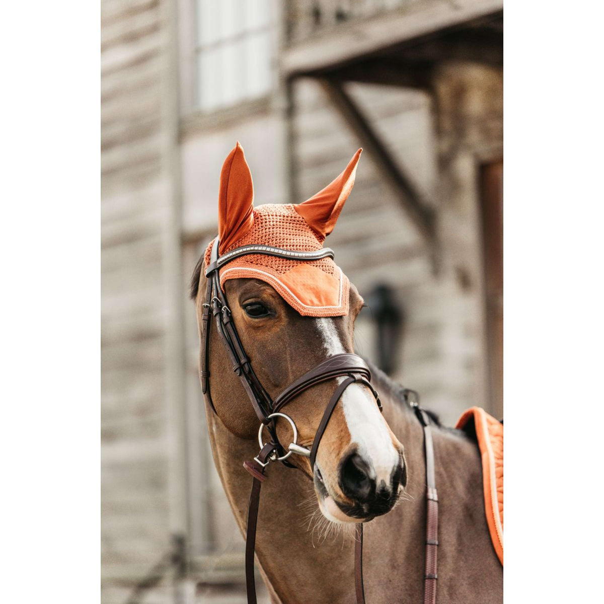 Kentucky Horsewear Bonete para Orejas Wellington Velvet Naranja