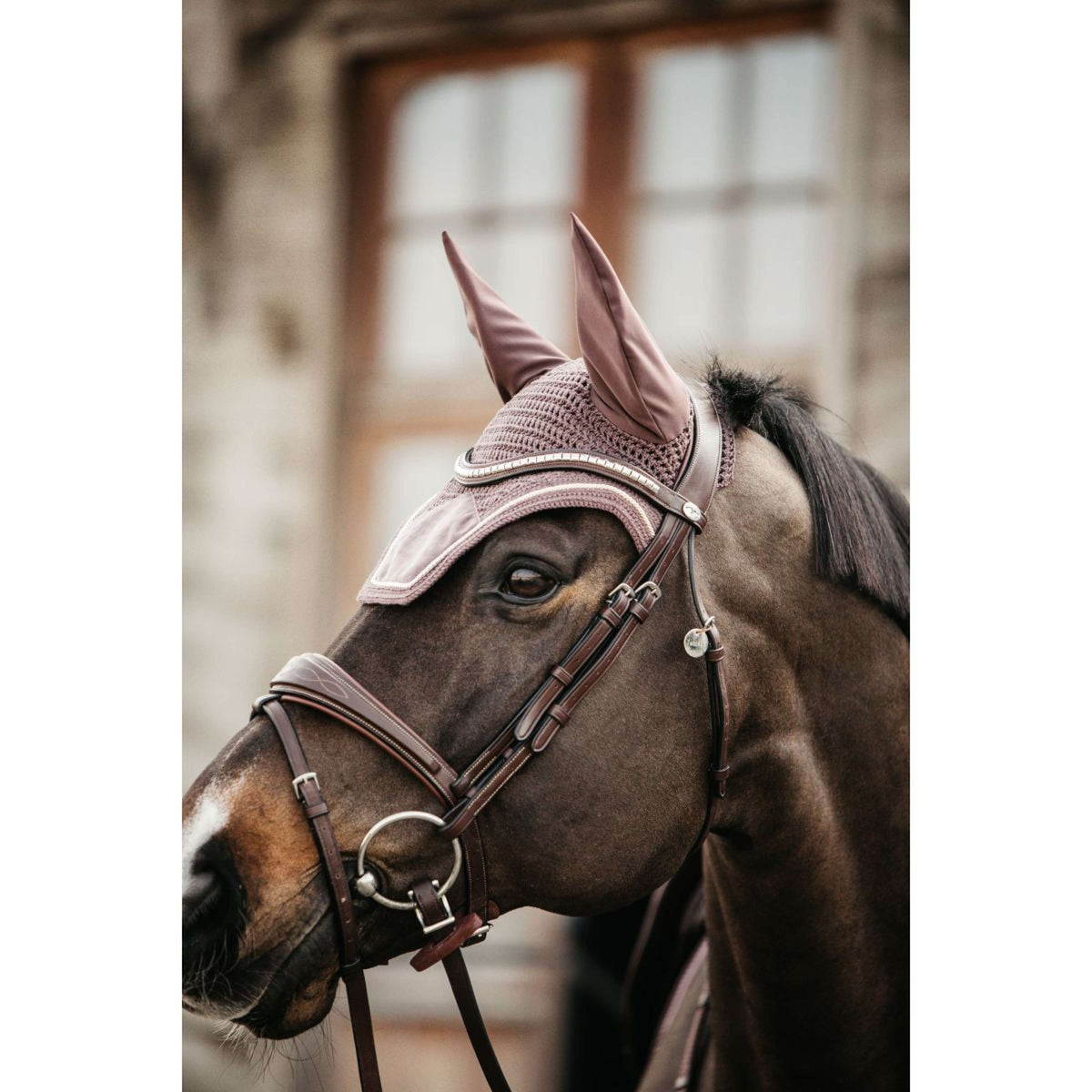 Kentucky Horsewear Bonete para Orejas Wellington Velvet Lila