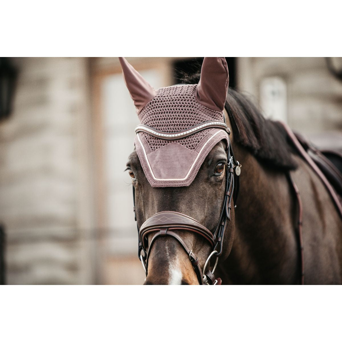 Kentucky Horsewear Bonete para Orejas Wellington Velvet Lila