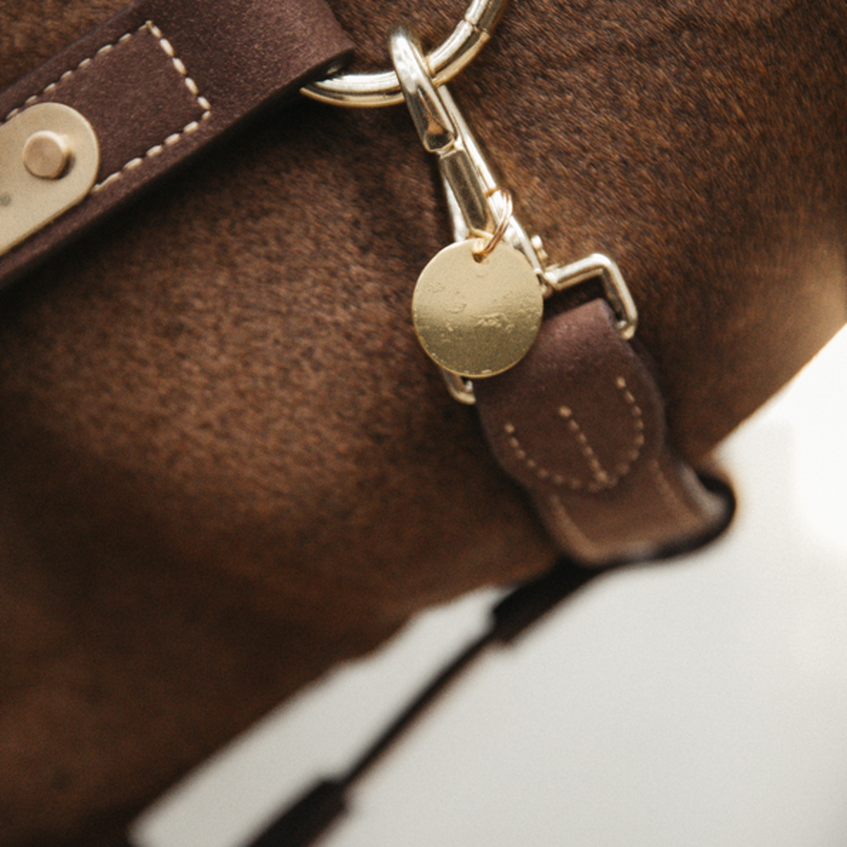 Kentucky Horsewear Placa de Nombre Oro