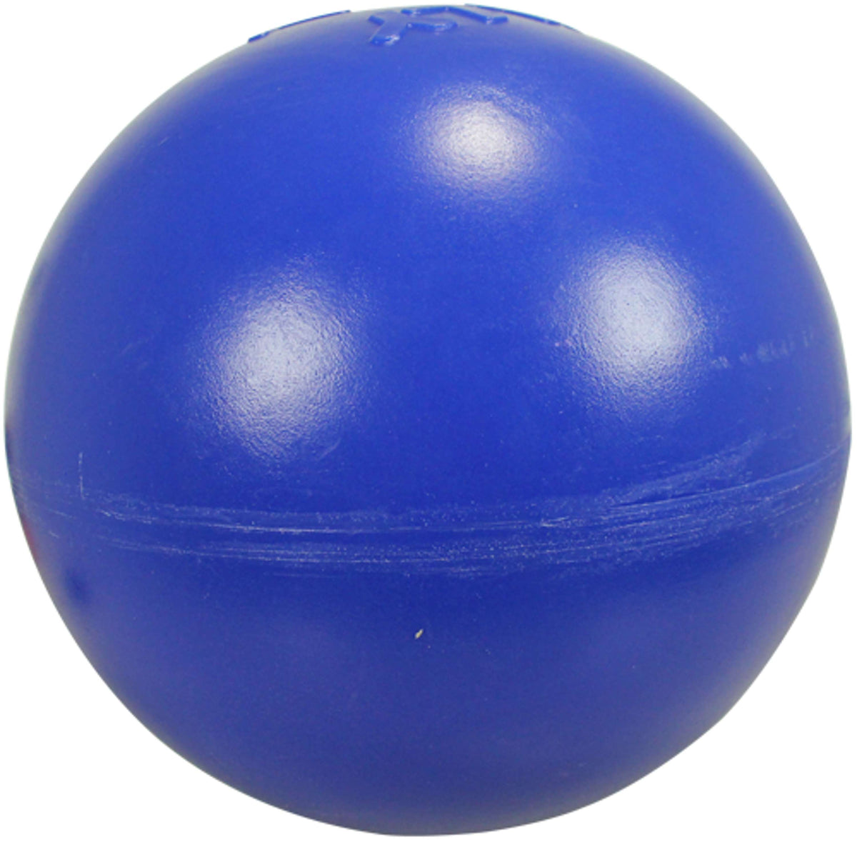 Jolly Ball Pets Push-n-Play Azul