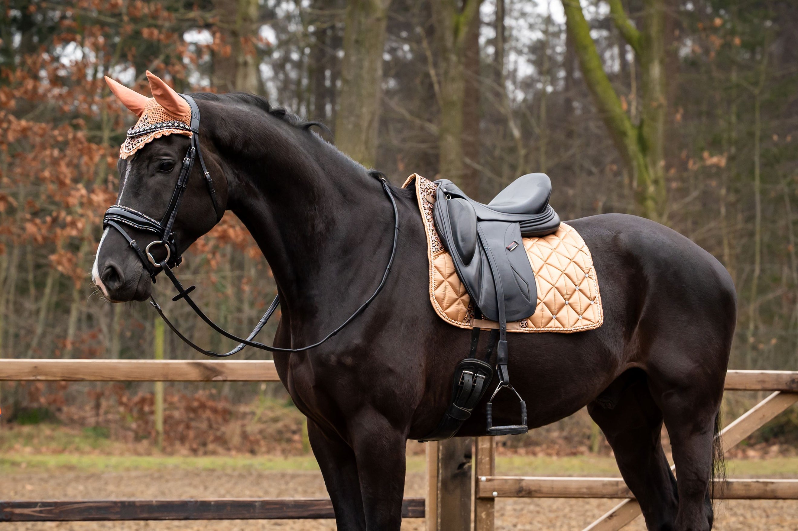 Showtime Mantilla Rio Doma clásica Beige