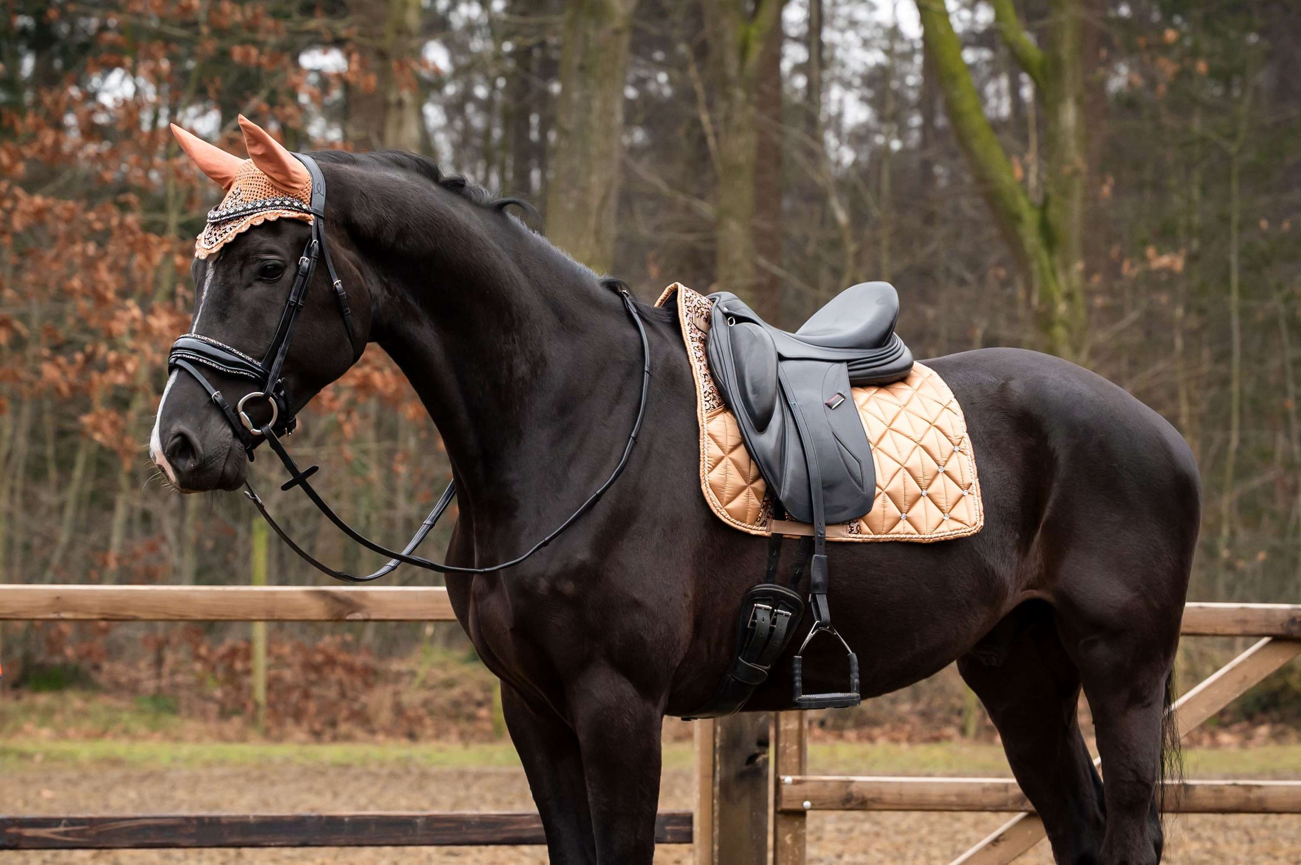 Showtime Mantilla Rio Doma clásica Beige Showtime Mantilla Rio Doma clásica Beige