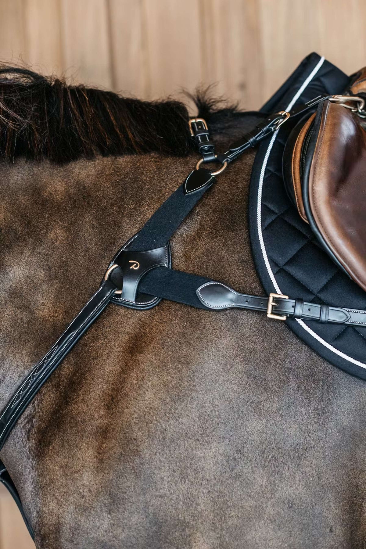 Dyon Arnés de Pecho 5 points Elástico Negro