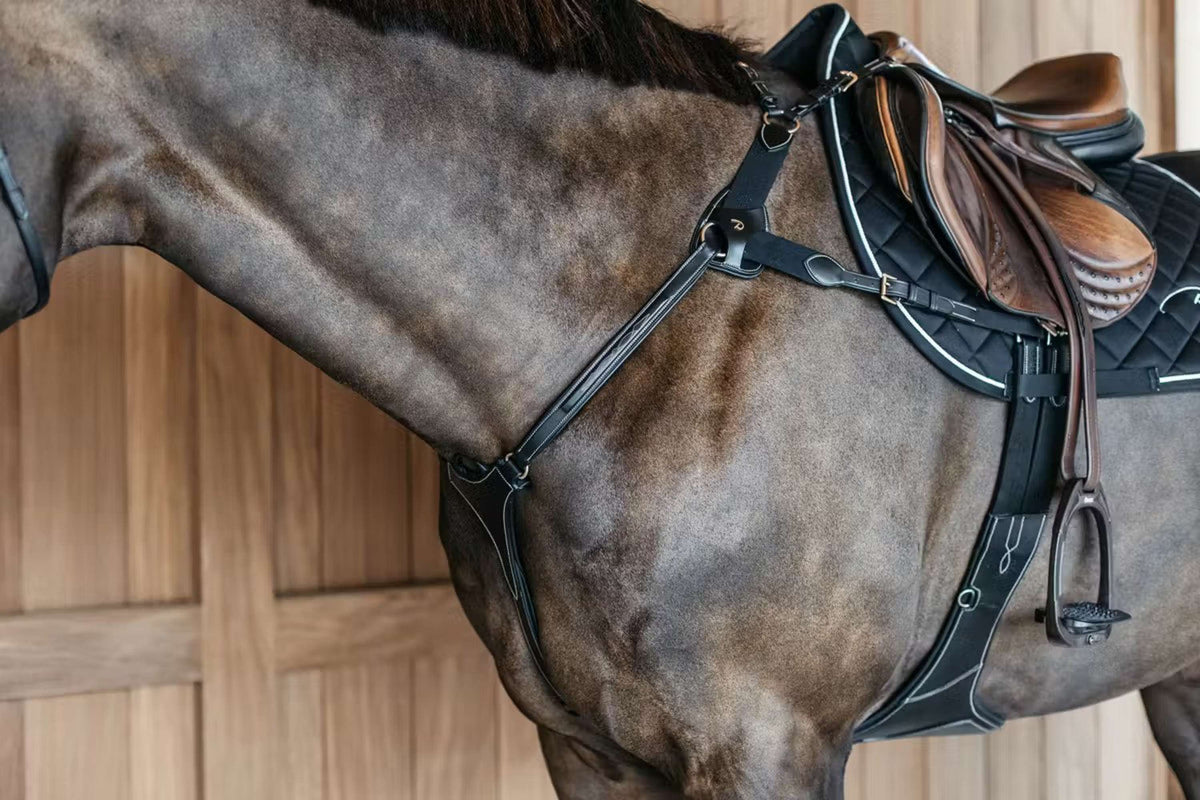 Dyon Arnés de Pecho 5 points Elástico Negro