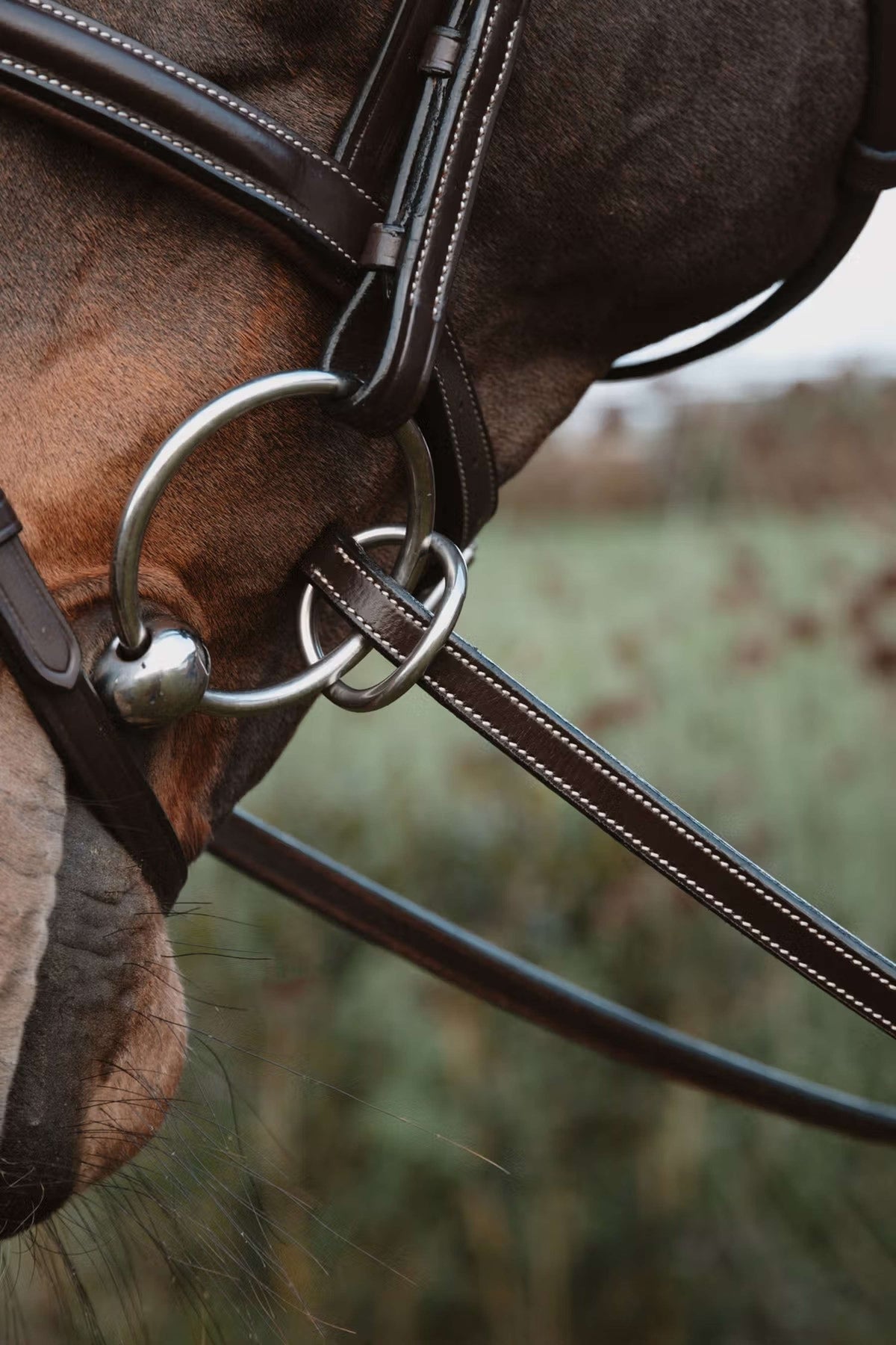 Dyon Riendas 1/2 7 Stops Cierre de anilla Marron