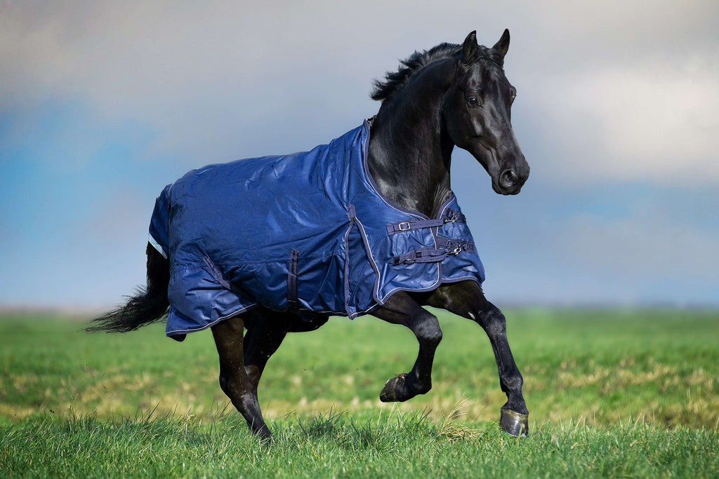Imperial Riding Alfombra de Exterior IRHSuper-Dry 200g Marino