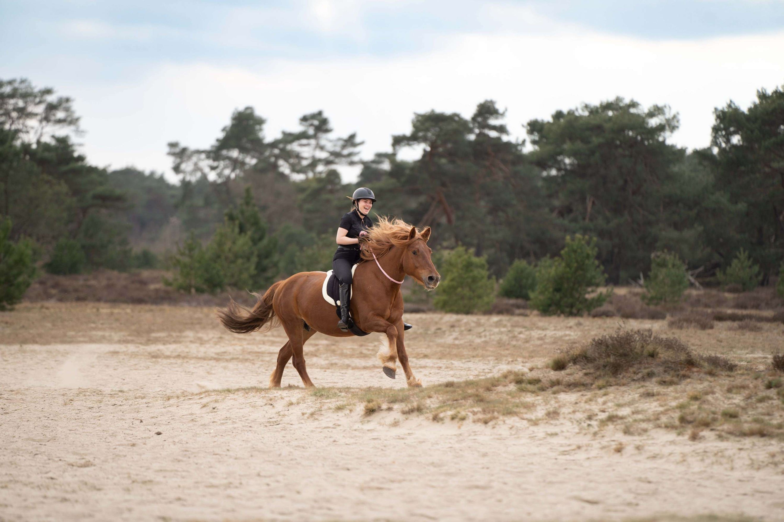 Imperial Riding Cabestro de Cuerda IRHFree Ride Negro