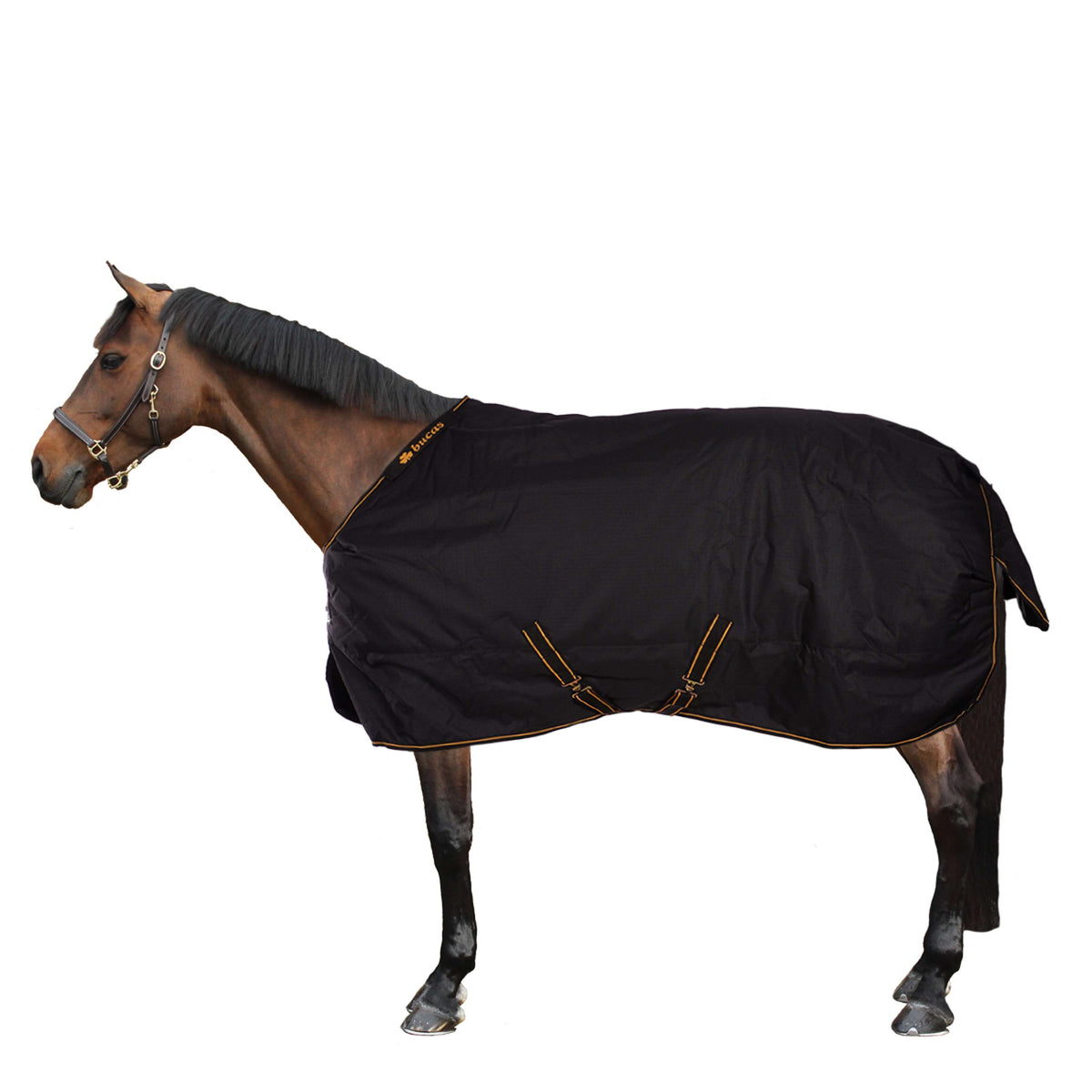 Bucas Irish Turnout Extra Negro/Oro