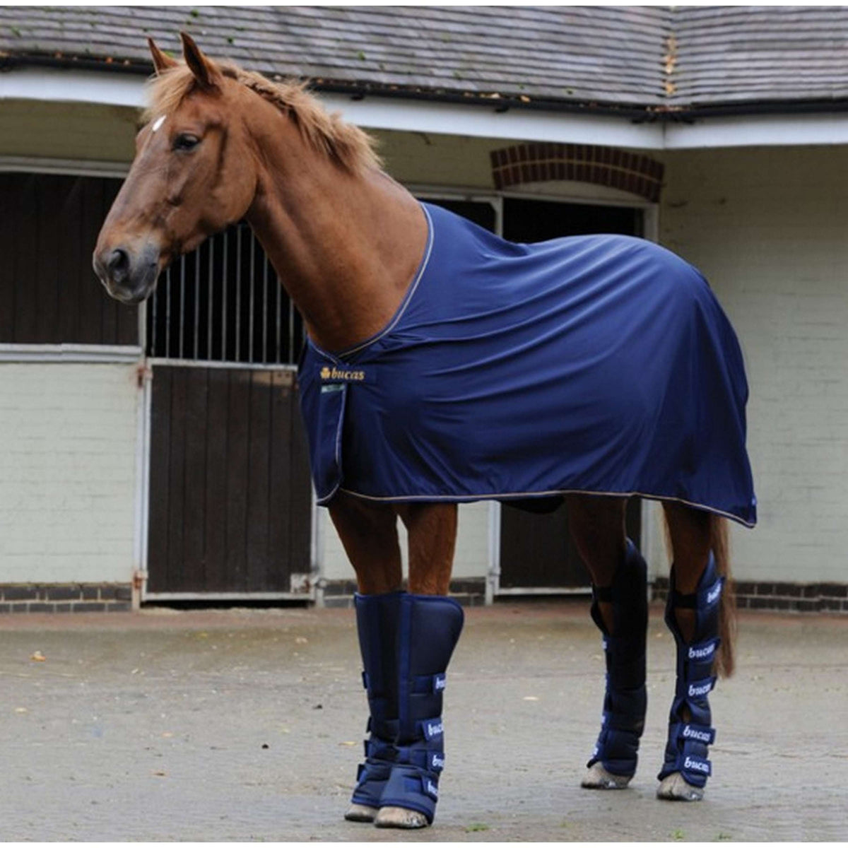 Bucas Power Cooler Navy/Plata