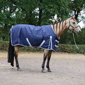 Premiere Alfombra de Exterior Todo el año 150g Dress Blue