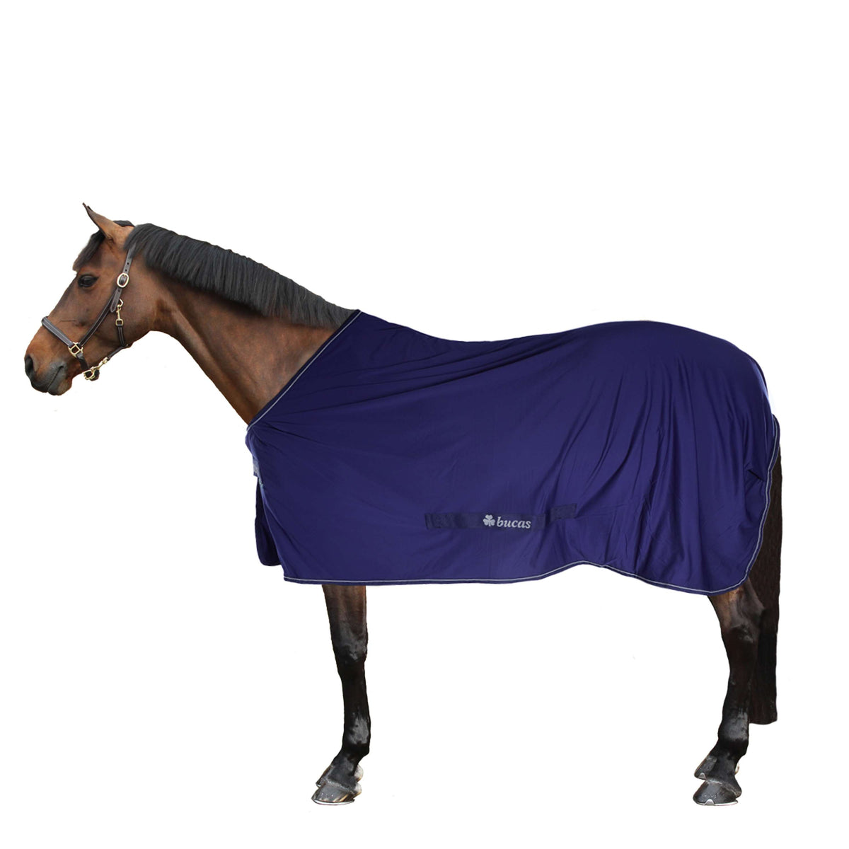 Bucas Power Cooler Navy/Plata