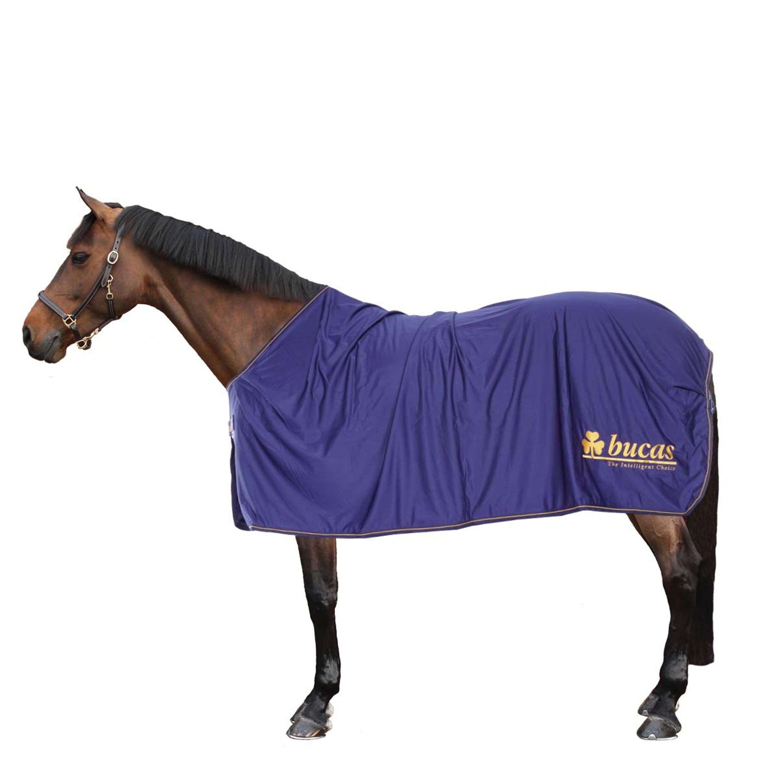 Bucas Prize Cooler Marino/oro Bucas logo