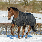 Bucas Irish Turnout Extra High Neck 300g Negro/Oro