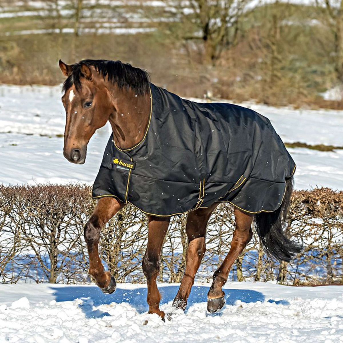 Bucas Irish Turnout Light H/N Negro/Oro