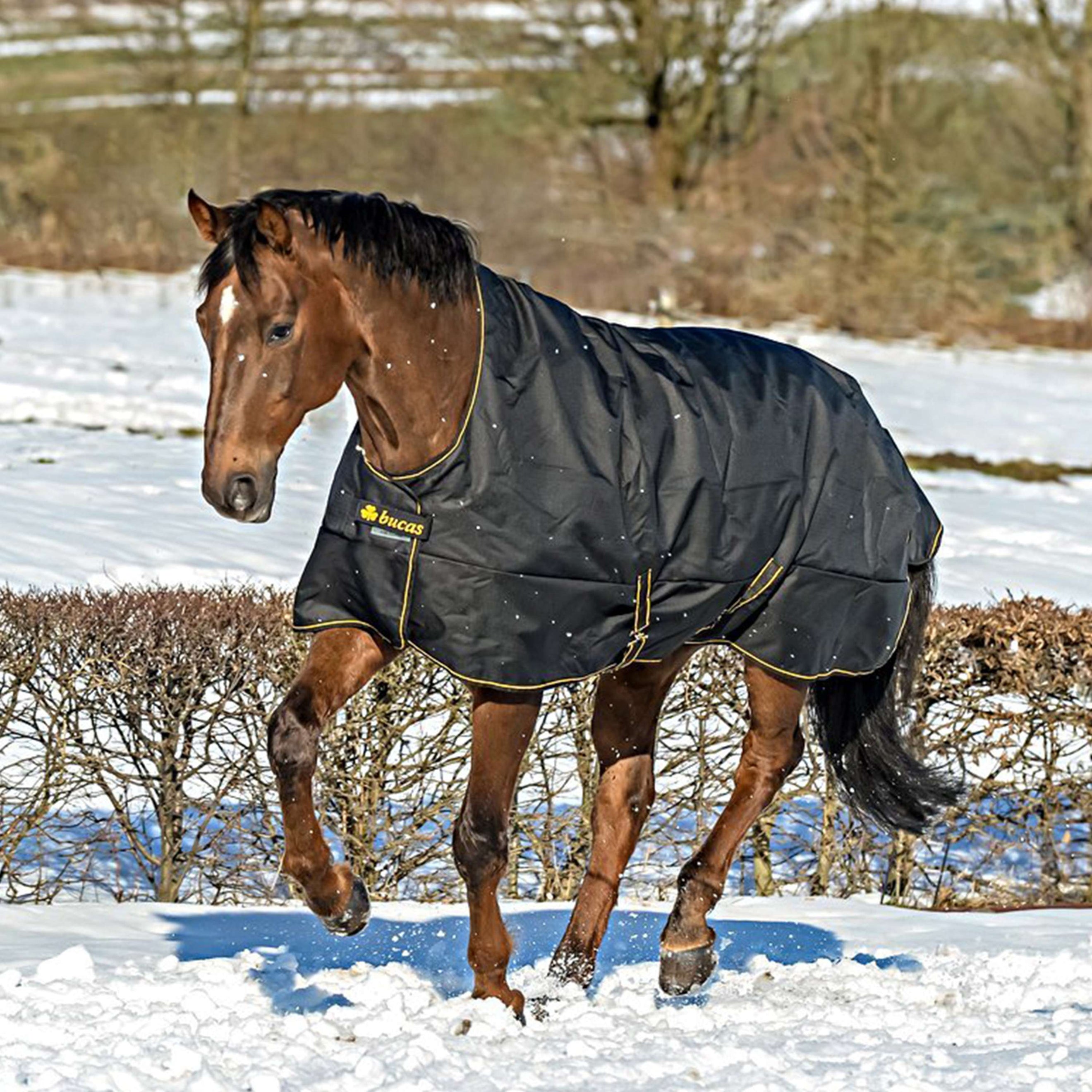 Bucas Irish Turnout Light Highneck 50g Negro/Oro