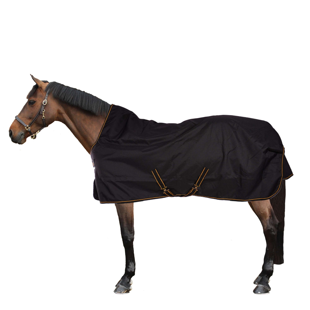 Bucas Irish Turnout Extra High Neck 300g Negro/Oro