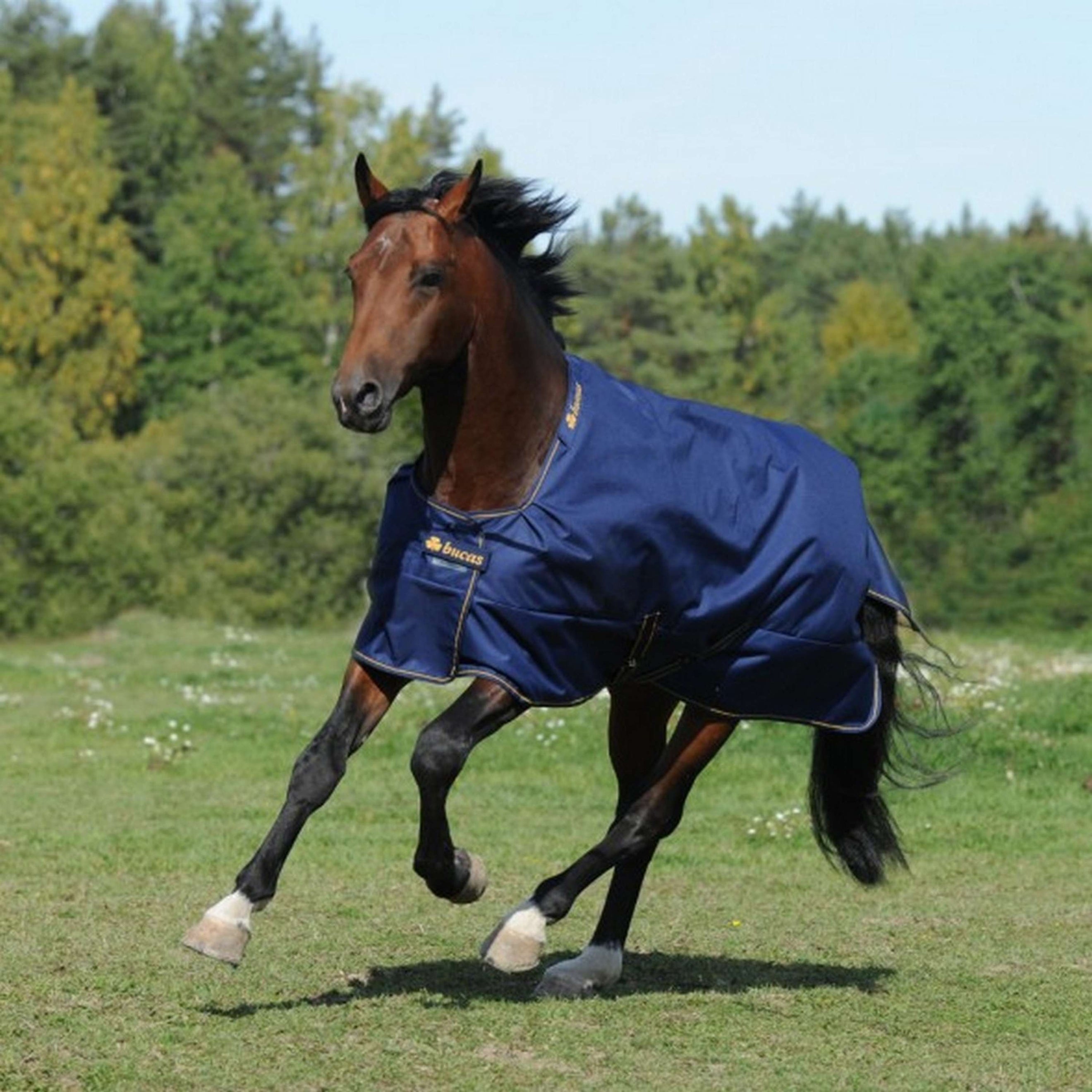 Bucas Irish Turnout Light 50g Navy/Gold Bucas Irish Turnout Light 50g Navy/Gold