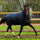 Horseware Trot Plus Heavy Bronceado negro