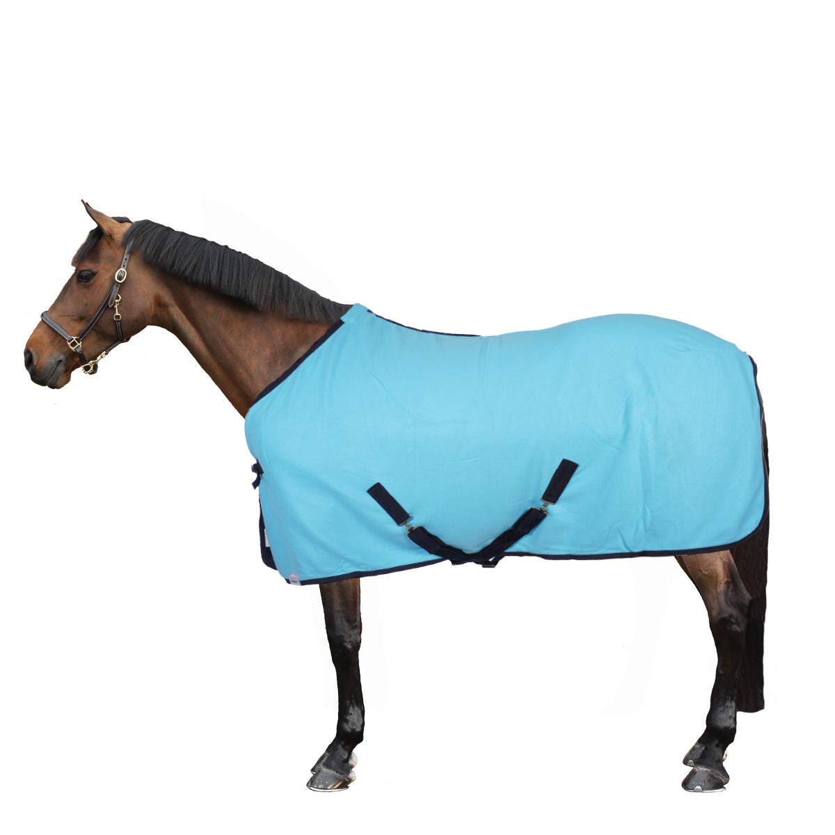 Harry's Horse Coperta in Pile Colors Turquesa