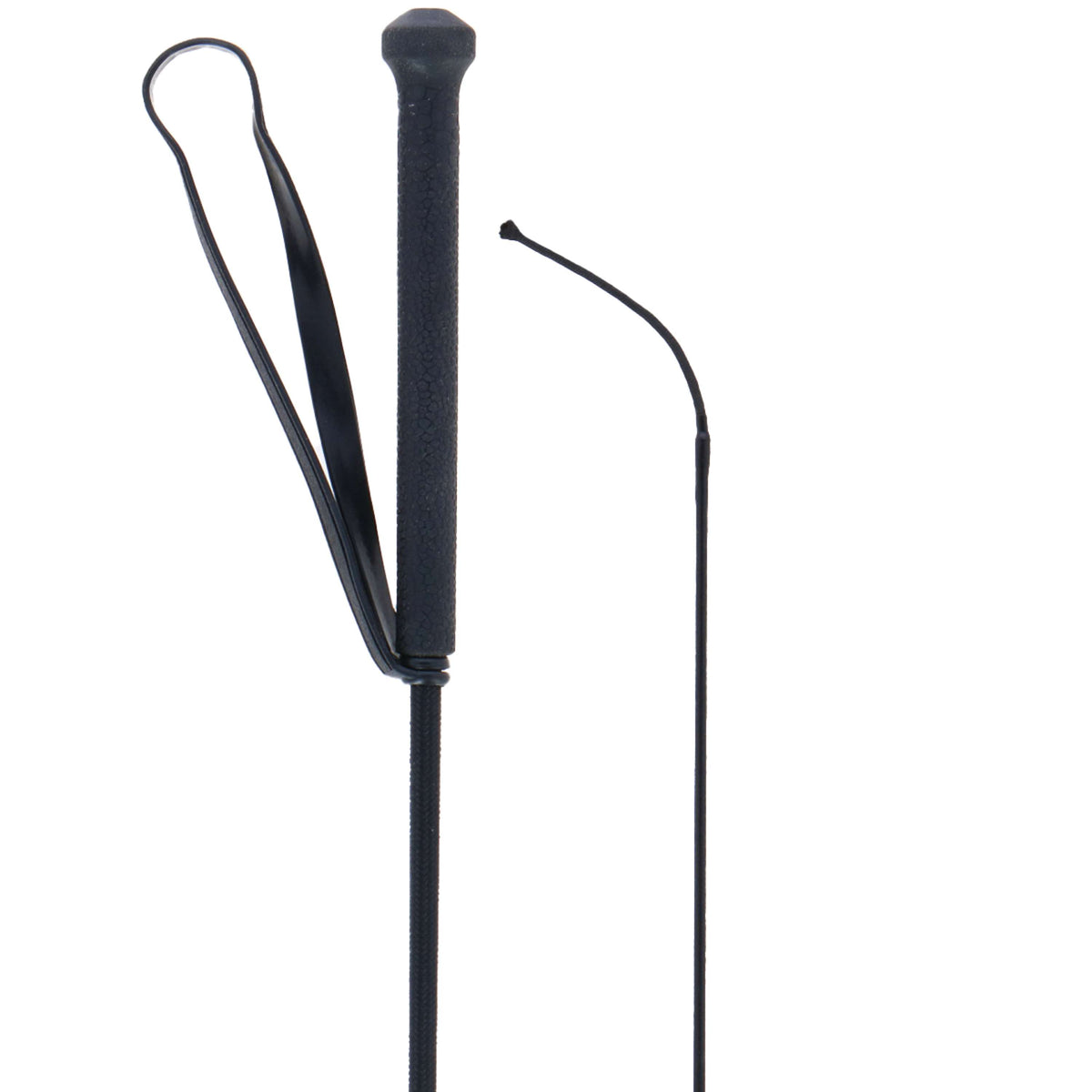 Harry's Horse Fusta de doma Negro