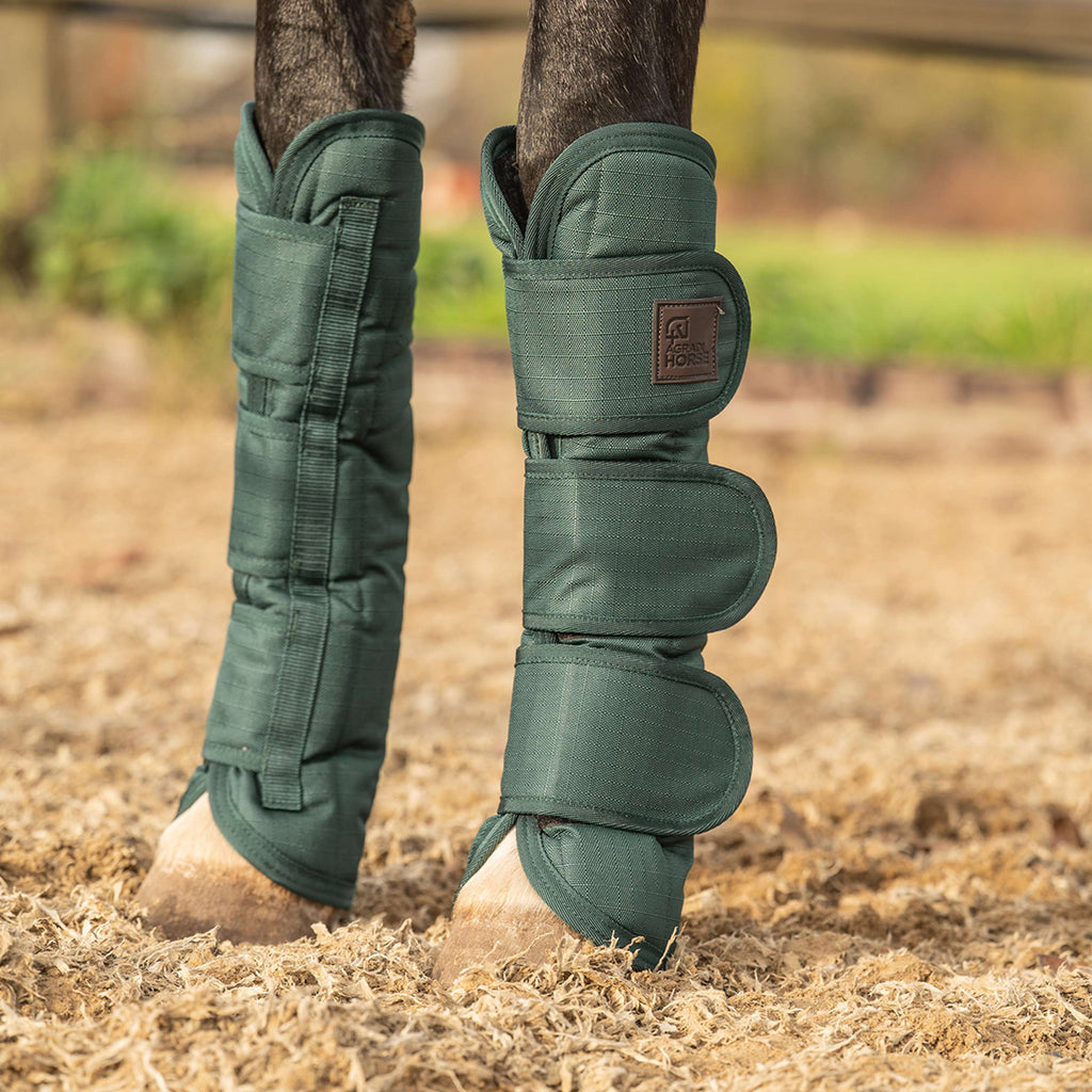 Agradi Horse Protectores de transporte 1200D Verde