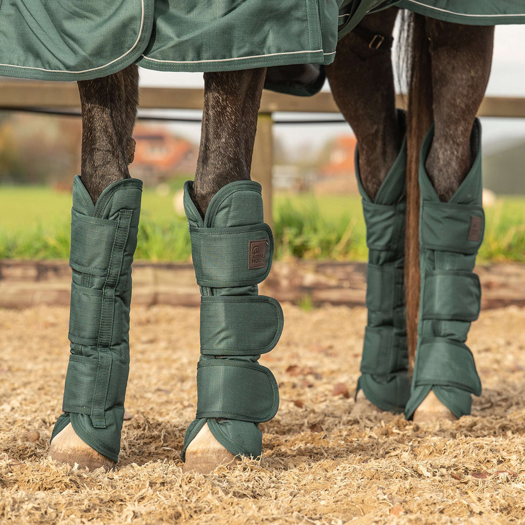 Agradi Horse Protectores de transporte 1200D Verde