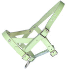Kerbl Cabezada Cuero Oveja/Macho Cabrío