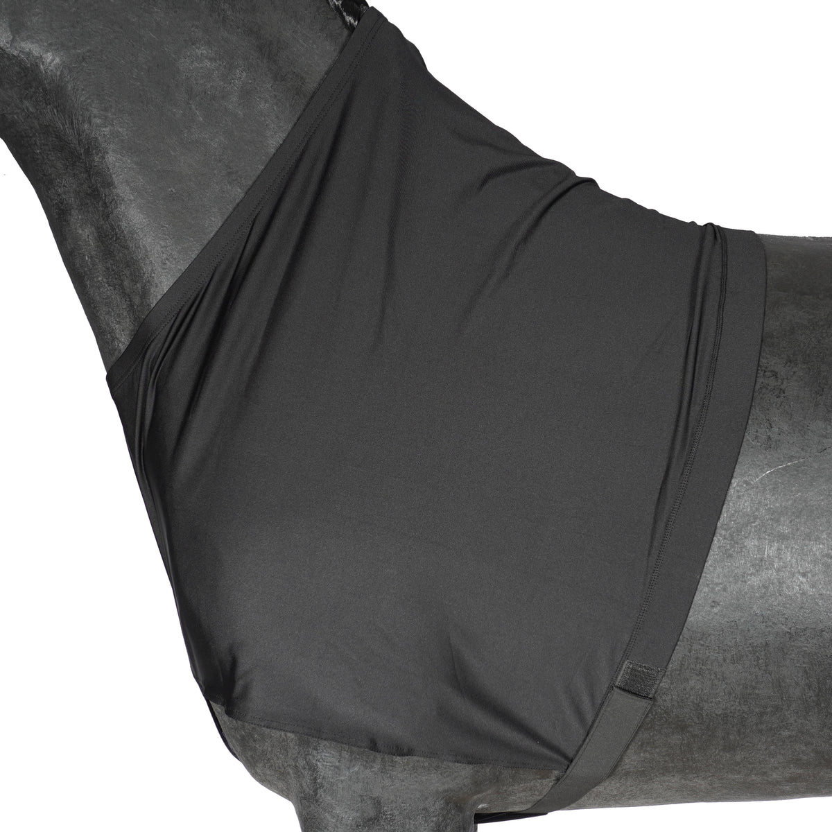 Harry's Horse Protector de Pecho Lycra Negro