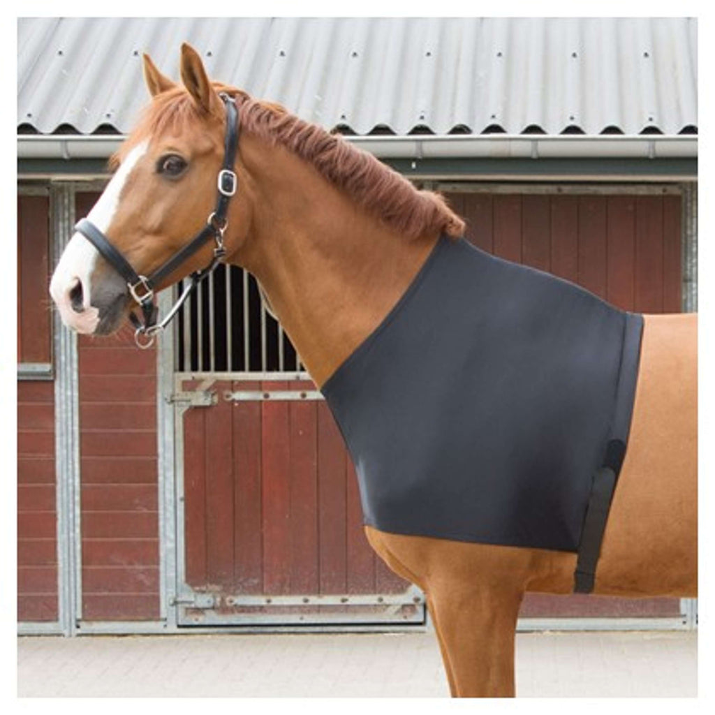 Harry's Horse Protector de Pecho Lycra Negro