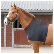 Harry's Horse Protector de Pecho Lycra Negro