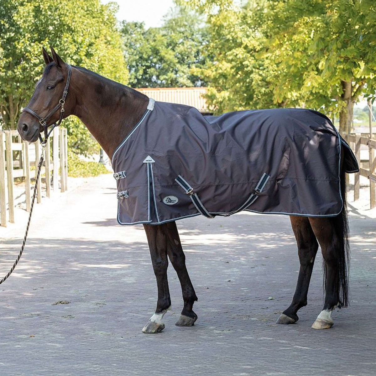 Harry's Horse Manta Impermeable Thor 0g Ebano