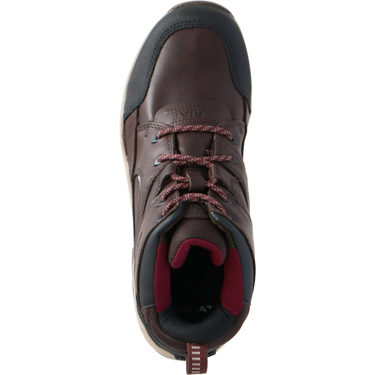 Ariat Zapatos para Exterior Telluride II H2O Marron oscuro
