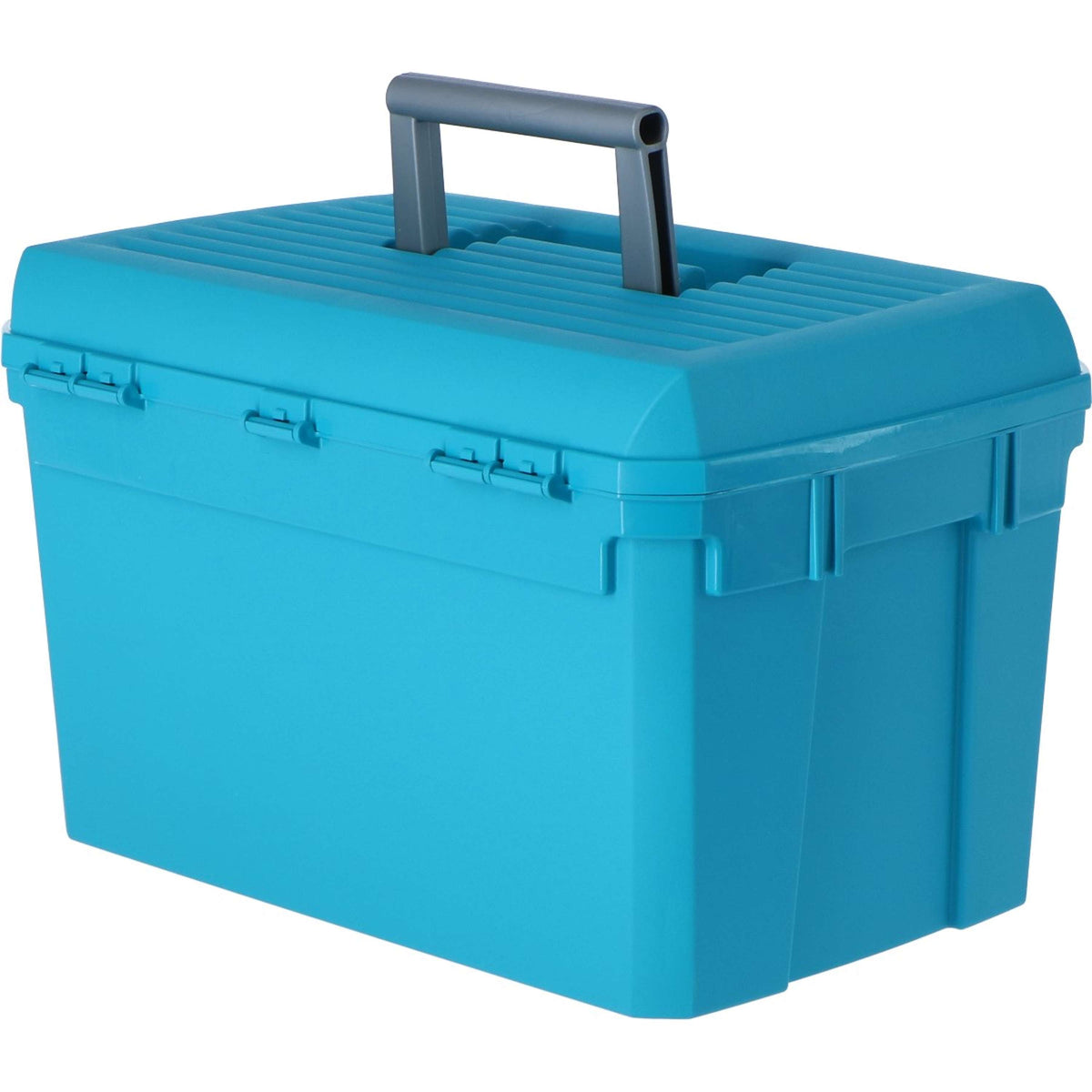Kerbl Caja de Limpieza Azul
