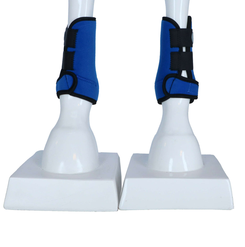 Harry's Horse Protectores de piernas Tiny Neopreno Azul