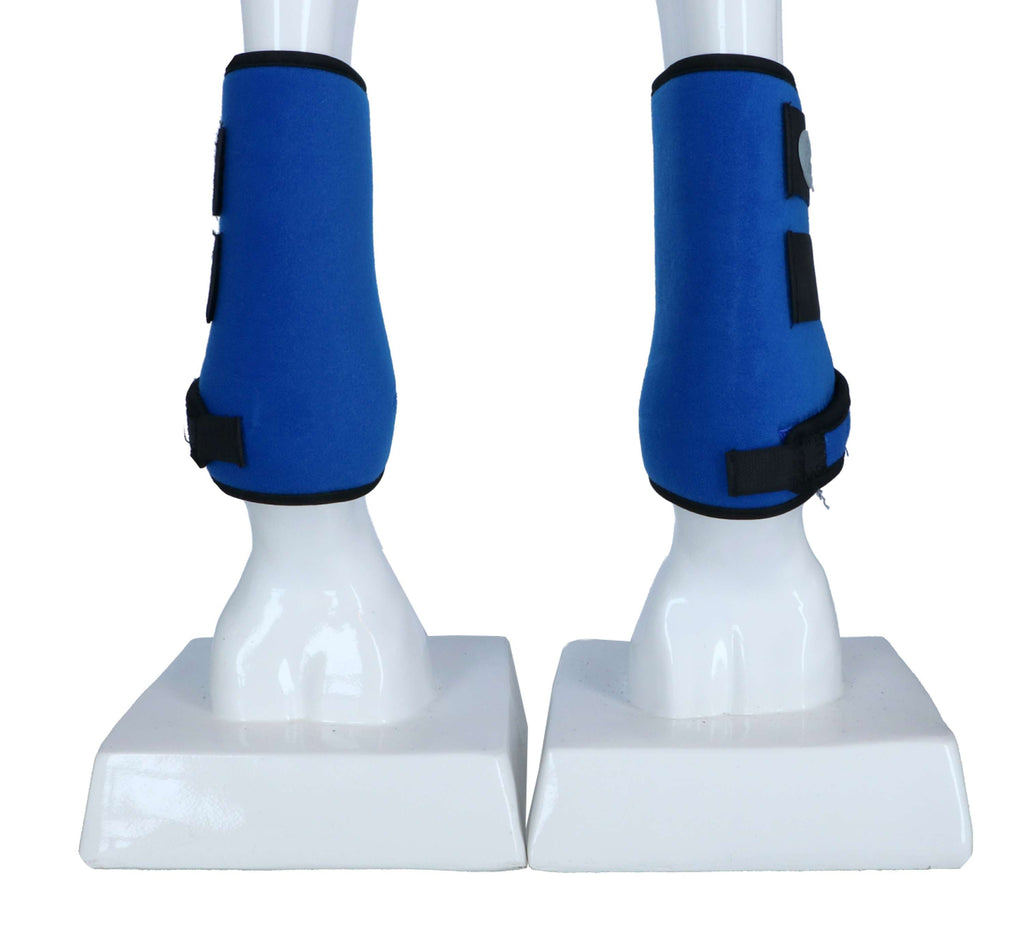 Harry's Horse Protectores de piernas Tiny Neopreno Azul