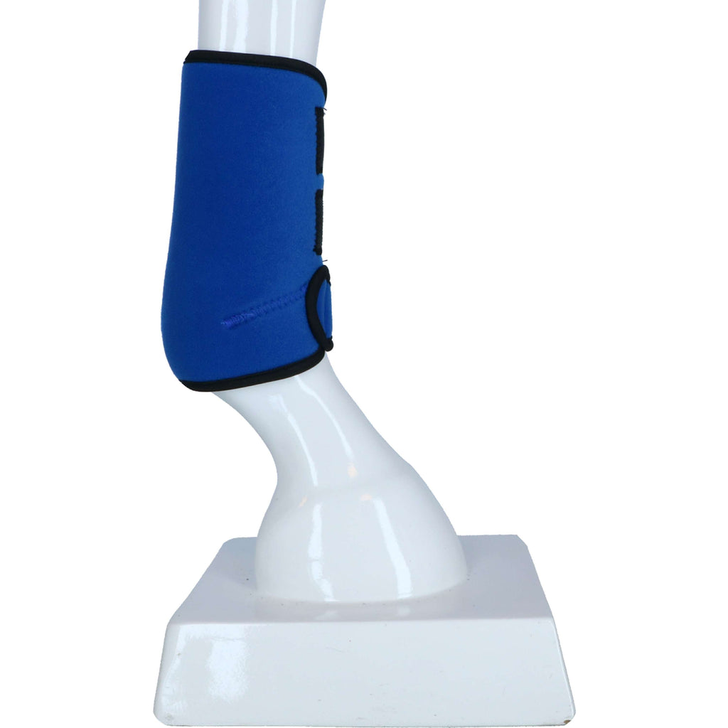 Harry's Horse Protectores de piernas Tiny Neopreno Azul