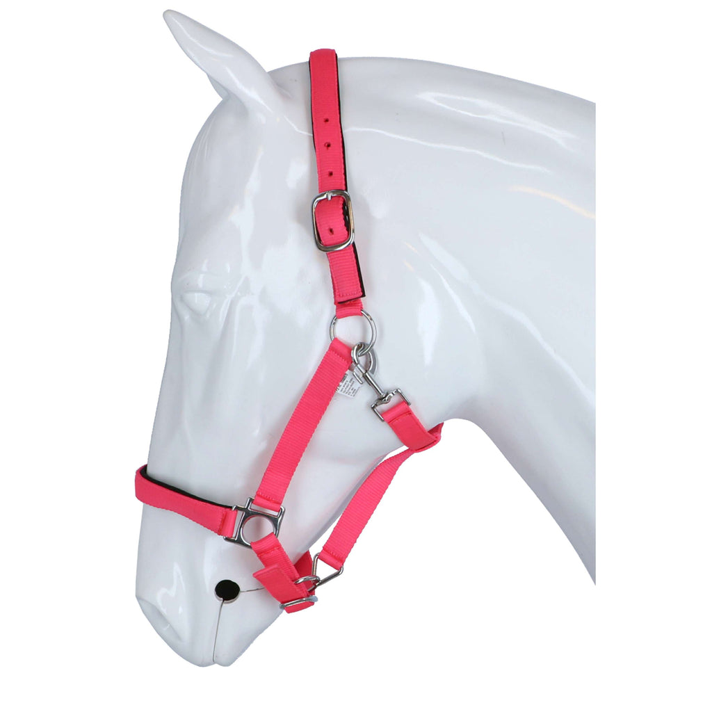 HKM Cabestro Stars Softice Rosa neon