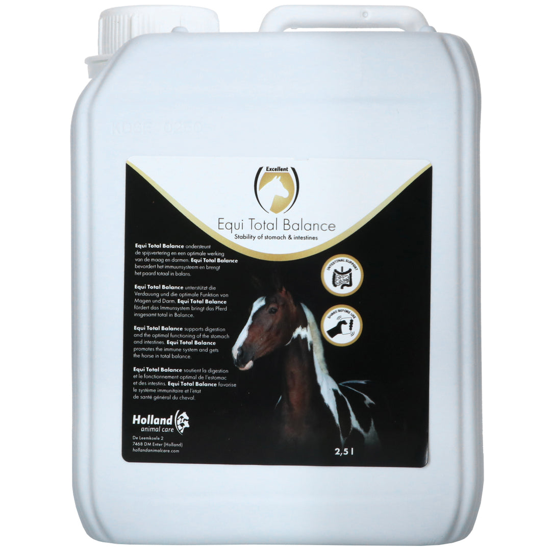 Excellent Total Balance Equi