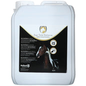 Excellent Total Balance Equi