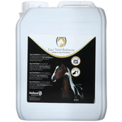 Excellent Total Balance Equi