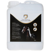 Excellent Total Balance Equi
