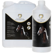 Excellent Total Balance Equi
