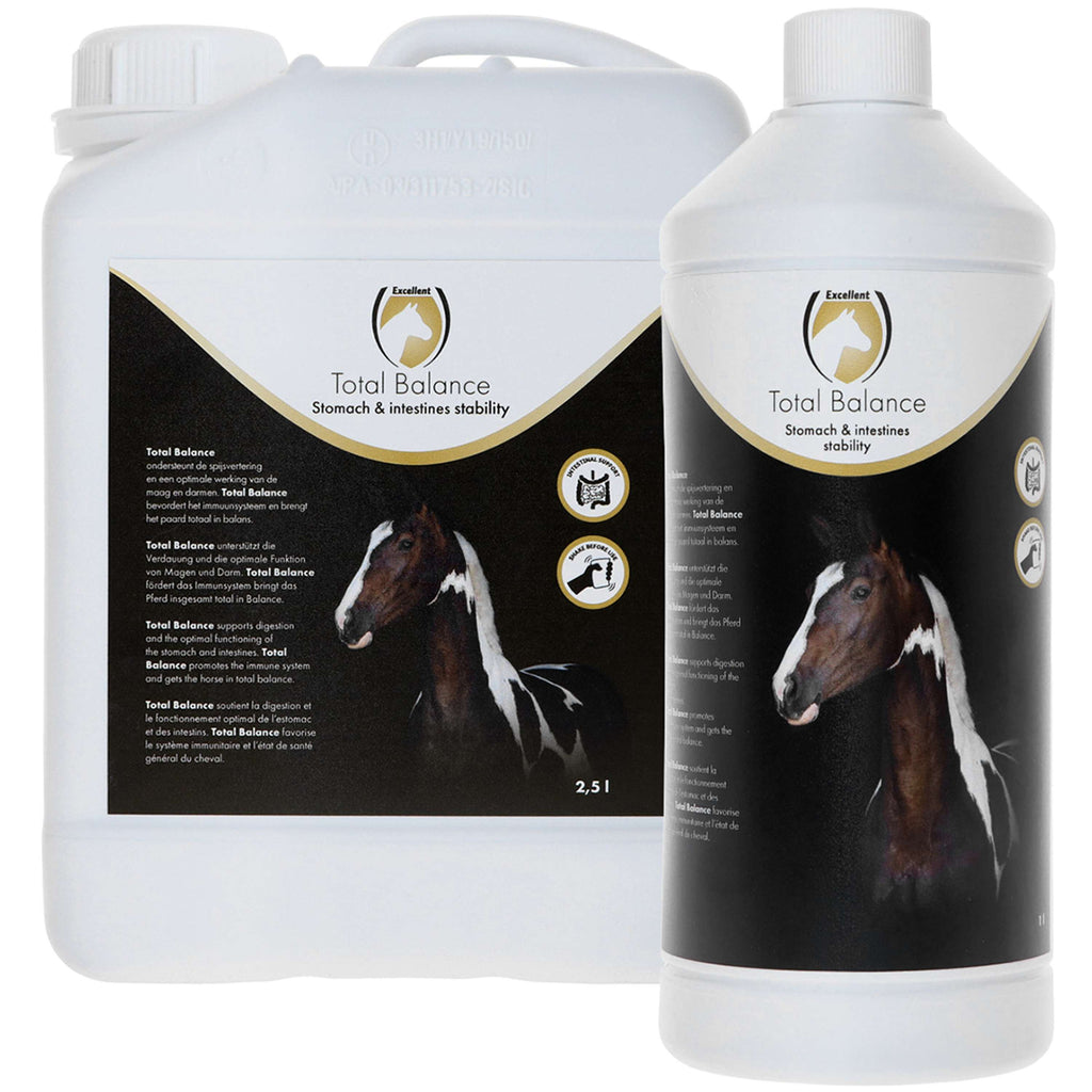Excellent Total Balance Equi