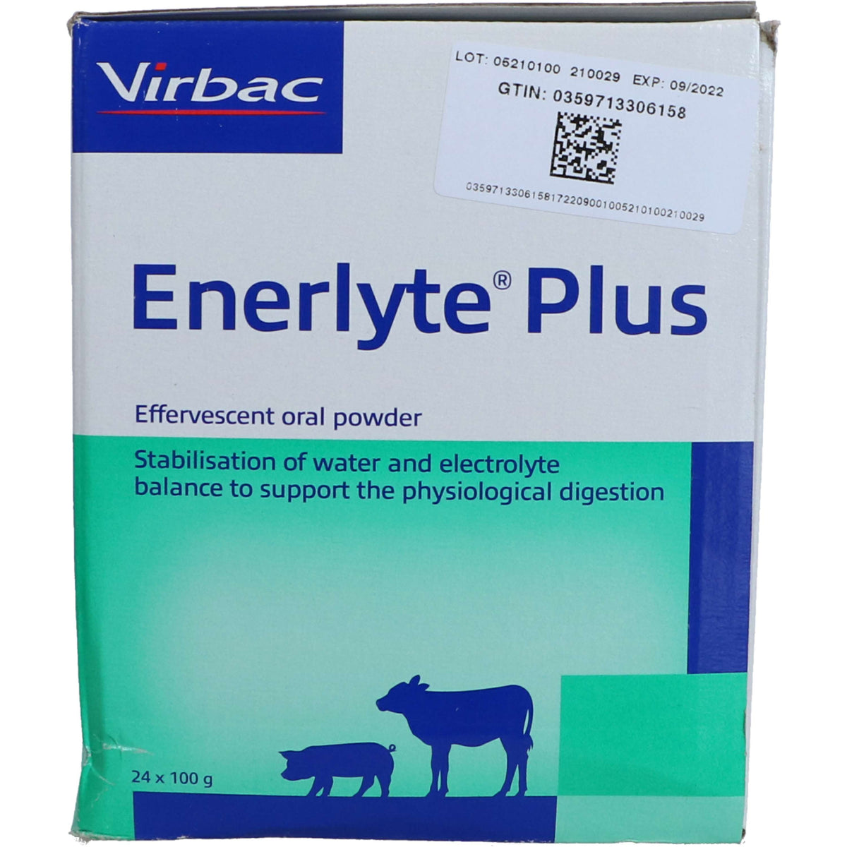 Enerlyte Plus