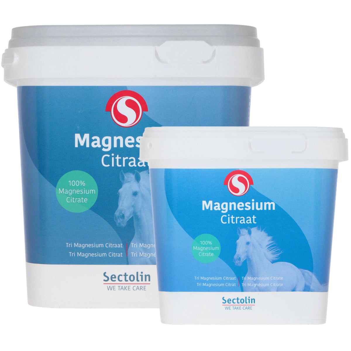 Sectolin Magnesium Equivital