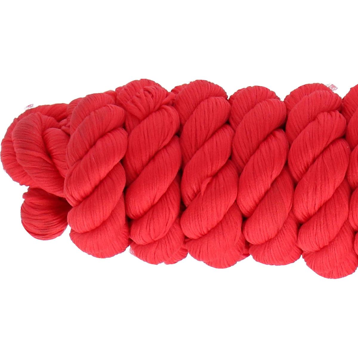 Wessex by Shires Cuerda de Cabestro Rojo