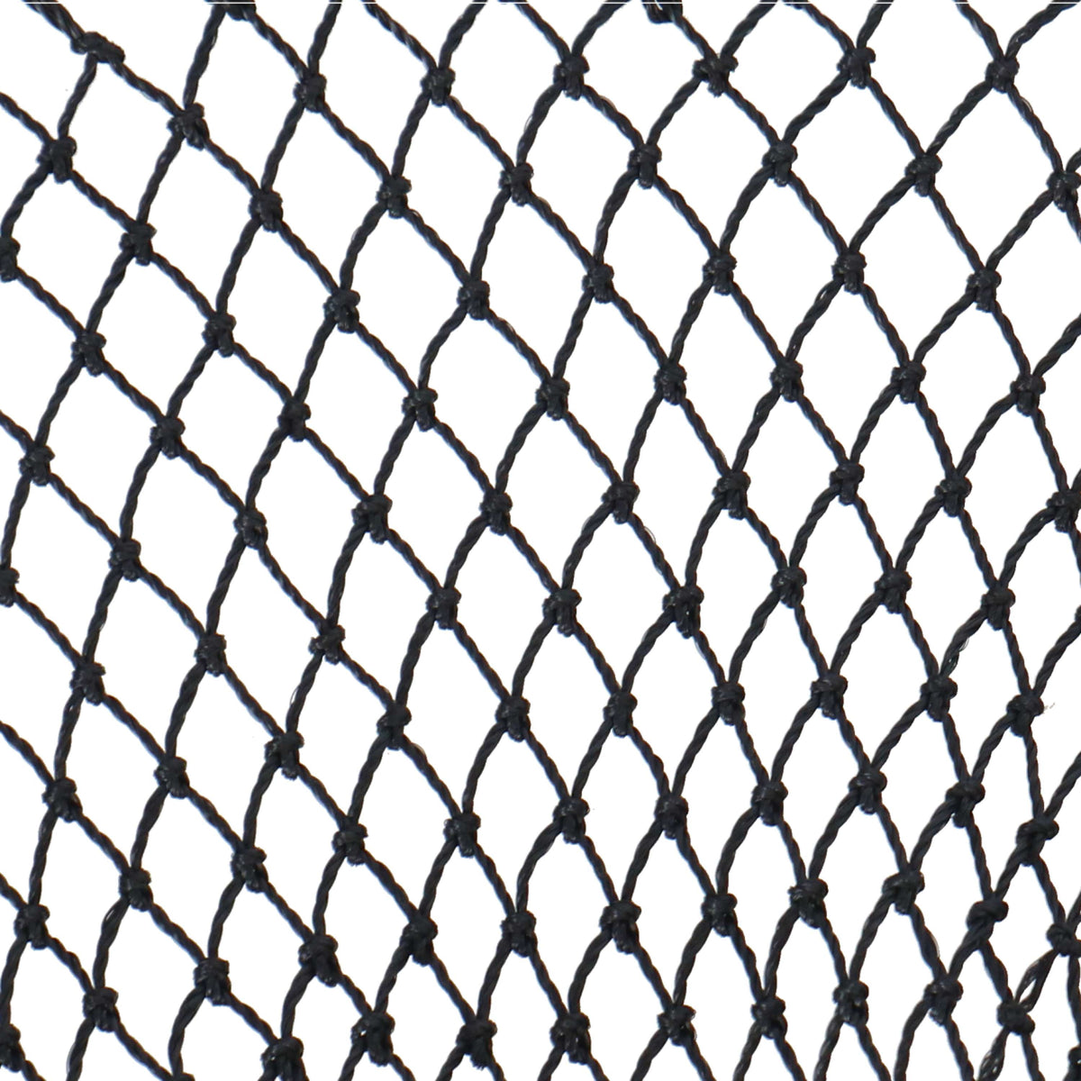 Shires Red Alimenticio Greedy Negro